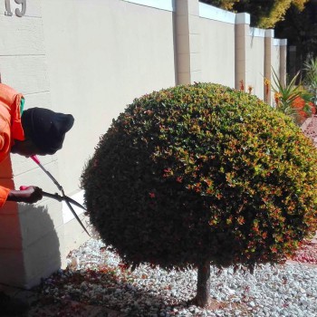 RonewaCreations-WEbsite-Picture-1-1