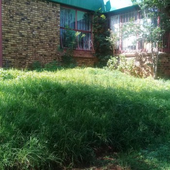 image from COMPANY PROFILE-932323